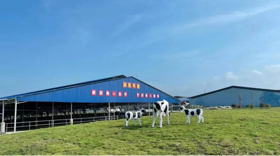 奶源建設(shè)再提速！田東縣皇氏奶業(yè)示范區(qū)正式投產(chǎn)！
