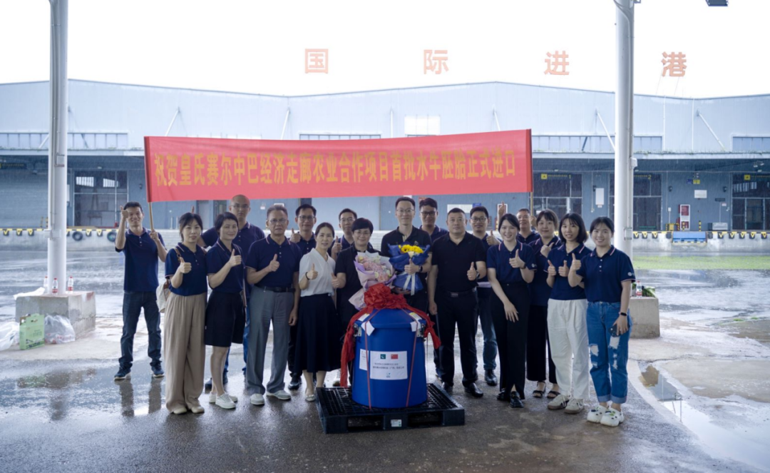 重磅！全國首批5000枚進(jìn)口巴基斯坦優(yōu)質(zhì)奶水牛胚胎入境，第一時間落戶皇氏集團投入奶水牛改良繁育生產(chǎn)